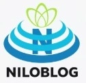 مبانی نظری خدمات و کیفیت، مدیریت کیفیت جامع، خدمات الکترونیک، دولت الکترونیک